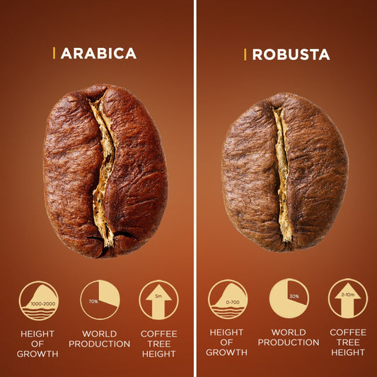 ☕ Arabika vs Robusta – šta biraš i zašto?